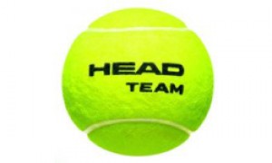 head_team-1.jpg
